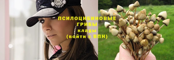ПСИЛОЦИБИНОВЫЕ ГРИБЫ Балахна