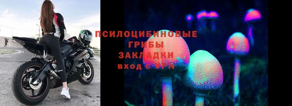 ПСИЛОЦИБИНОВЫЕ ГРИБЫ Балахна