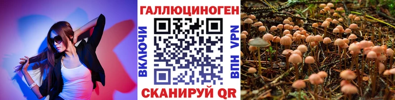 Псилоцибиновые грибы прущие грибы  blacksprut ССЫЛКА  Белинский  магазин  наркотиков 